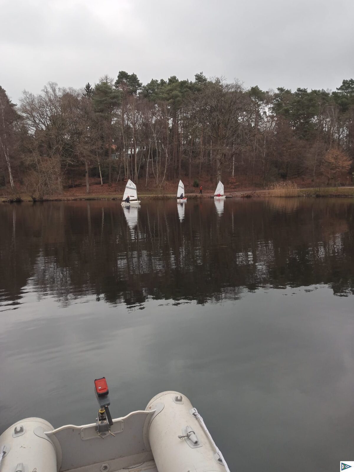 Eisarsch-Regatta auf dem Buchholzer Stadtteich