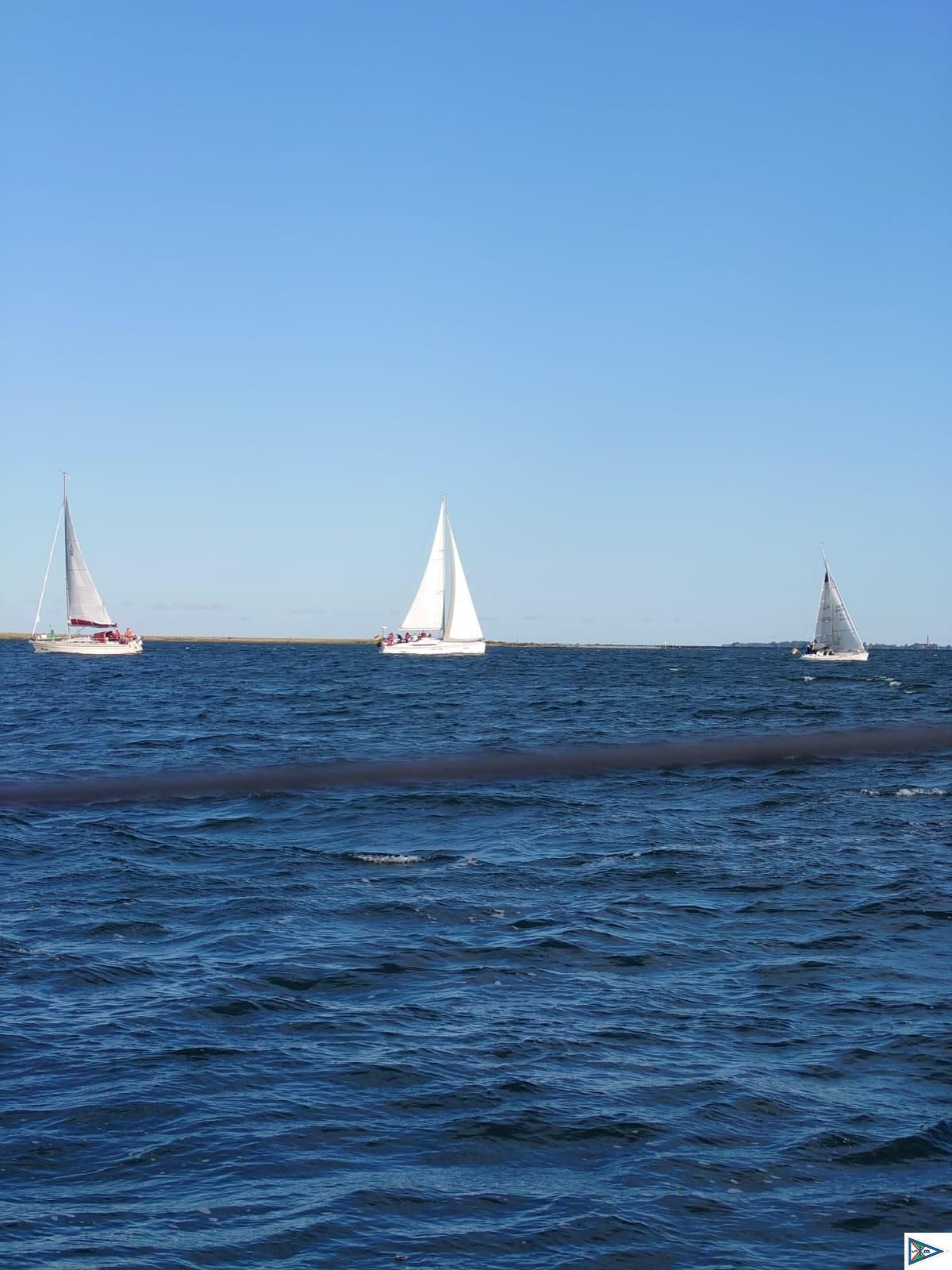 Impressionen vom Absegeln 2024