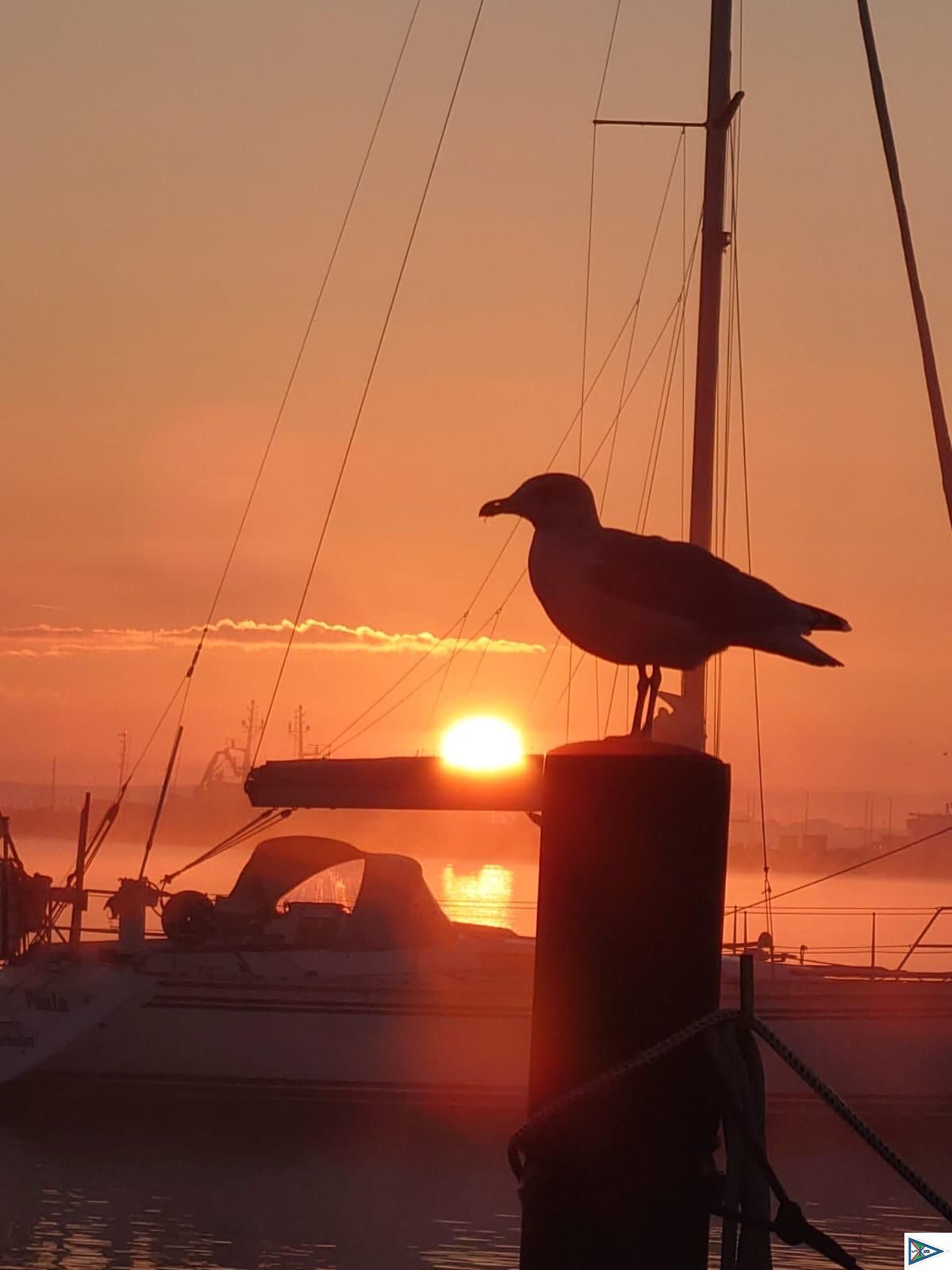 Impressionen vom Absegeln 2024