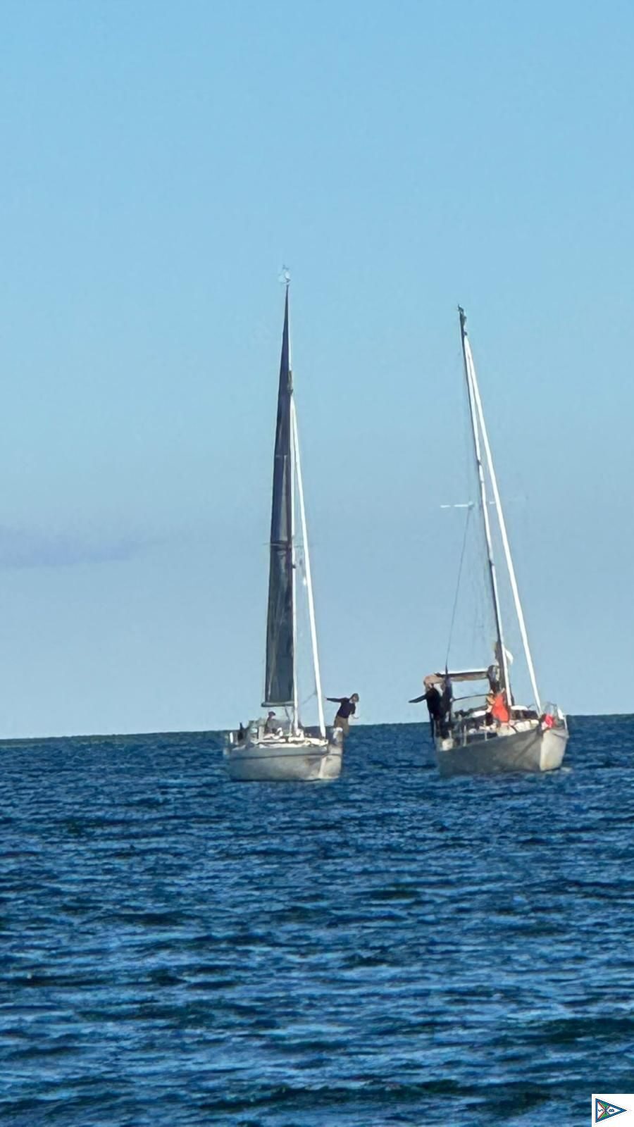 Impressionen vom Absegeln 2024