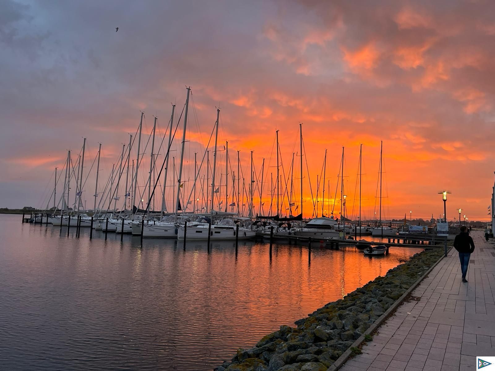 Saison 2023 - Impressionen vom Absegeln