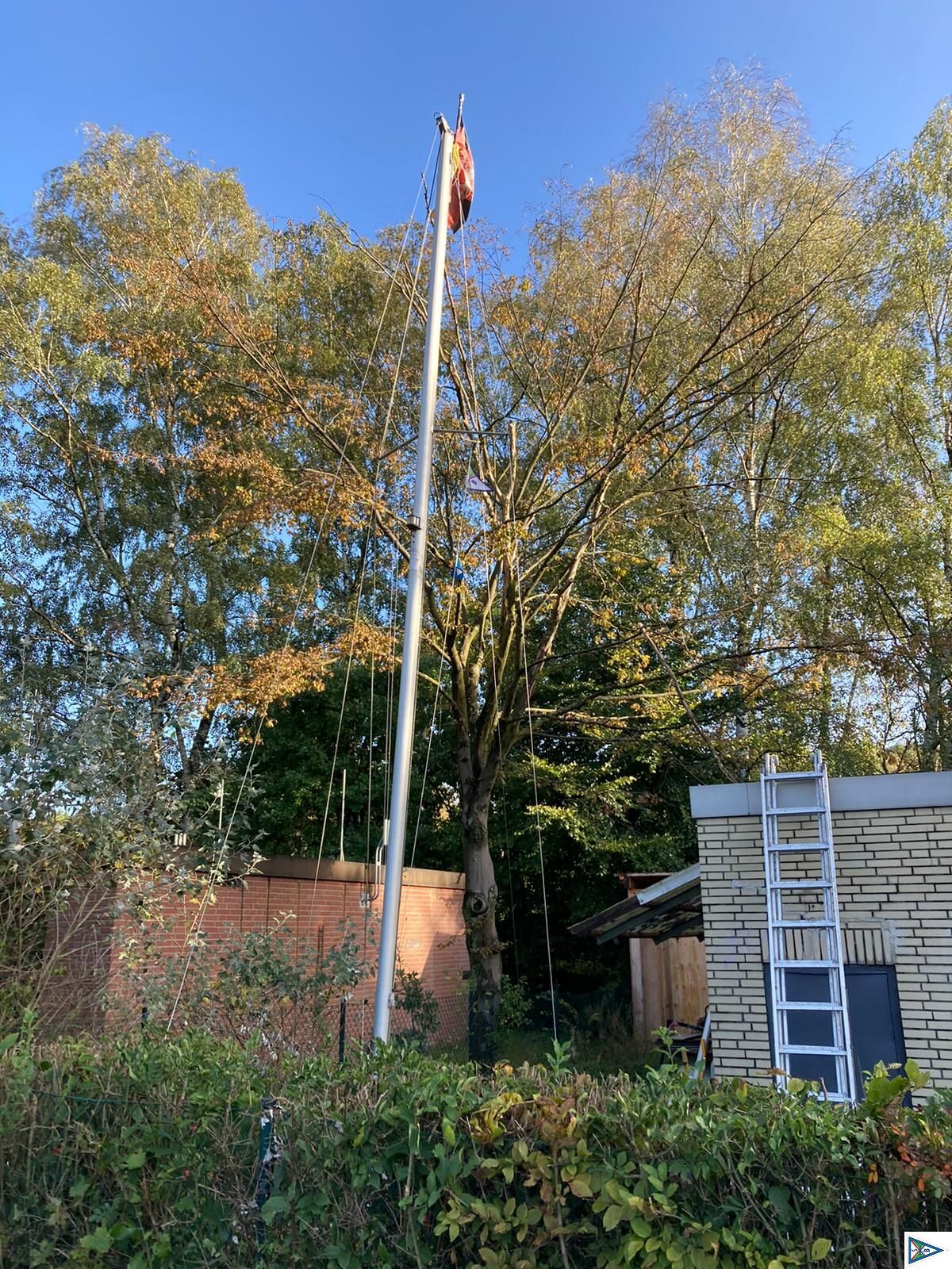 Winterarbeiten: Baum Abgeschlagen, der Mast steht aber noch